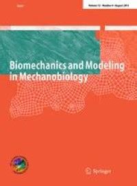 Analysis of bone architecture sensitivity for changes in mechanical loading, cellular activity ...