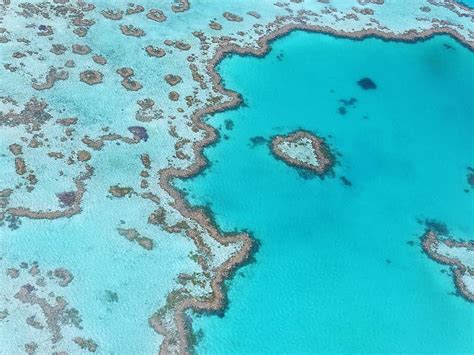 great barrier reef, coral, australia, queensland, ocean, island empire ...