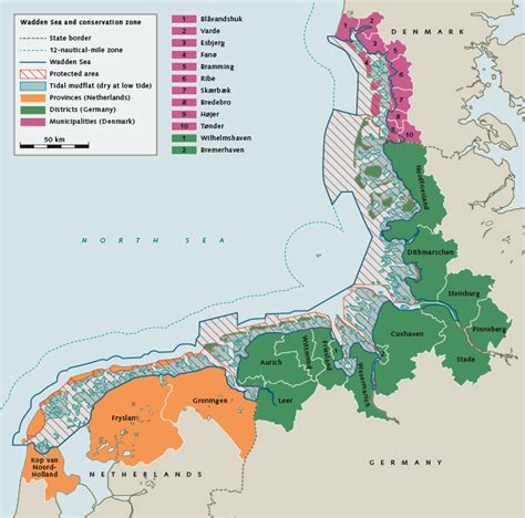 The long road to the Wadden Sea World Natural Heritage site « World ...