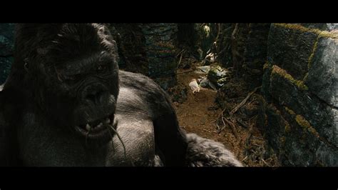 Kong & Ann Darrow from King Kong 2005 | King kong, King kong 2005, Kong