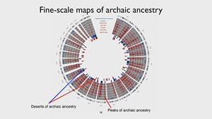 CARTA: Ancient DNA and Human Evolution - UCTV - University of California Television