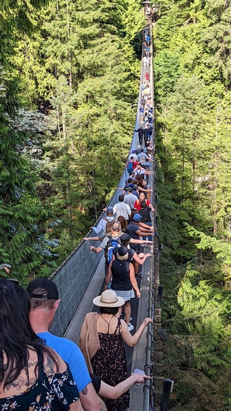 Capilano Suspension Bridge Park Ticket - Vancouver, Canada - TourMega