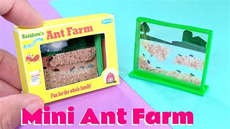 DIY Realistic Miniature Ant Farm - YouTube