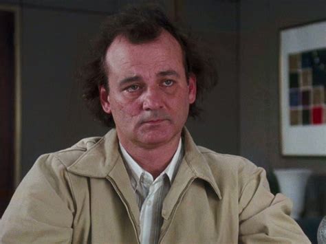 Bill Murray movies in order | It's A Stampede!