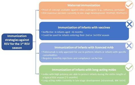 Frontiers | RSV Prevention in All Infants: Which Is the Most Preferable ...