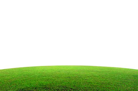 Green Grass Field On Mountain Isolated On White Background Beautiful ...