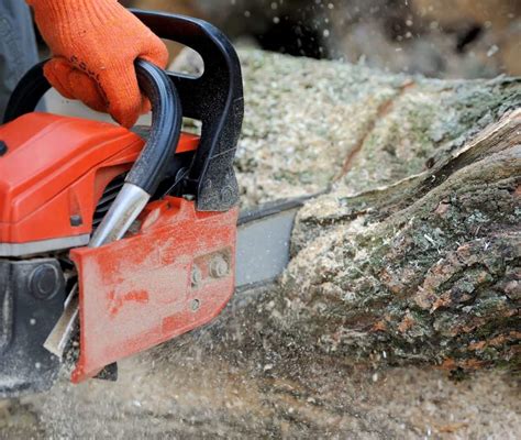 10 Best Chainsaw Brands in 2024 | SawAdvisor