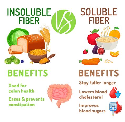 Resistant Starch vs Fiber: What’s the Difference? | Supergut Blog