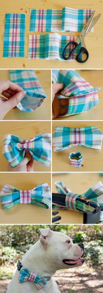 DIY Dog Collar Bow Tie Pictures, Photos, and Images for Facebook, Tumblr, Pinterest, and Twitter