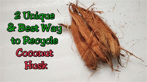 2 Best Reuse Idea of Coconut Husk/ Best Way to Recycle Coconut husk/ Coconut Husk Craft Ideas ...