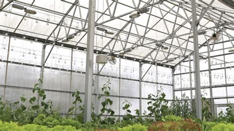 Your Most Common Greenhouse Materials Questions Answered - Greenhouse Grower