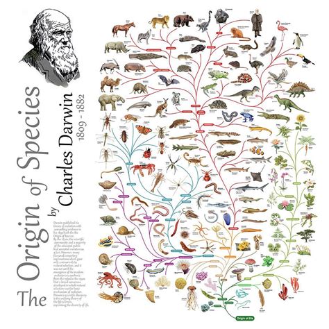 The Origin of Species Charles Darwin