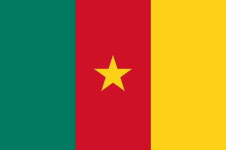 Free Cameroon Flag Images: AI, EPS, GIF, JPG, PDF, PNG, and SVG