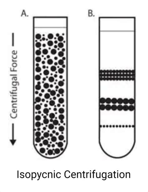 Centrifuge- Principle, Parts, Types, Uses, Examples