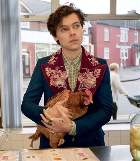 Harry Styles is the face of new Gucci campaign