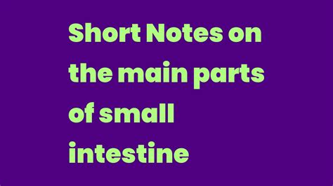 Short Notes on the main parts of small intestine - Write A Topic