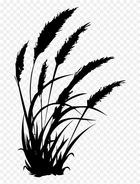 Pampas Grass Clipart Free Download Images High Quality Png | Mockups Ideas