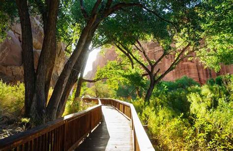 The Ultimate Guide to Camping in Capitol Reef National Park - Beyond The Tent