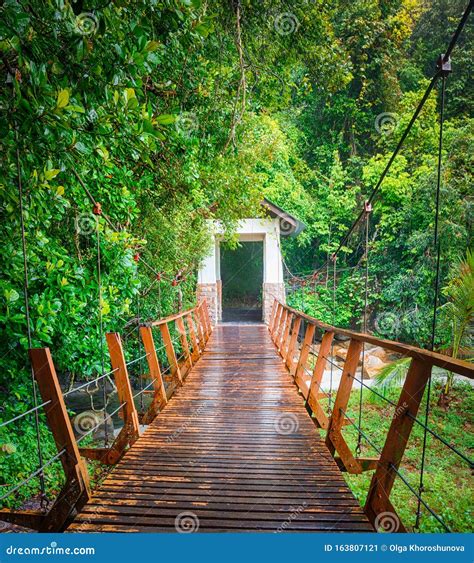 Footbridge at Penang National Park, Malaysia Stock Image - Image of beach, leisure: 163807121