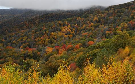 Great Smoky Mountains National Park wallpaper - Nature wallpapers - #46300