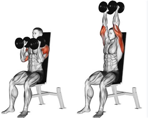 How to Dumbbell Shoulder Press