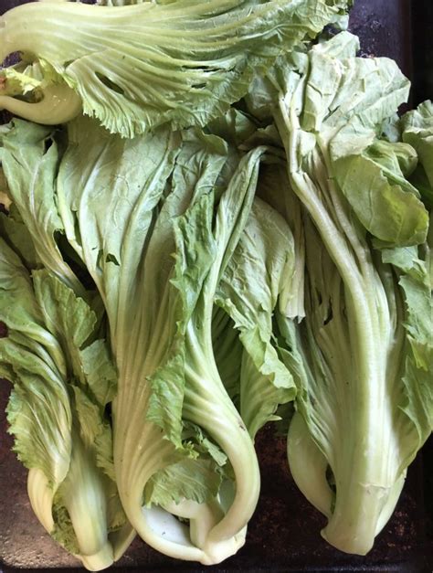 Fermented Chinese Mustard Greens Recipe - Viet World Kitchen