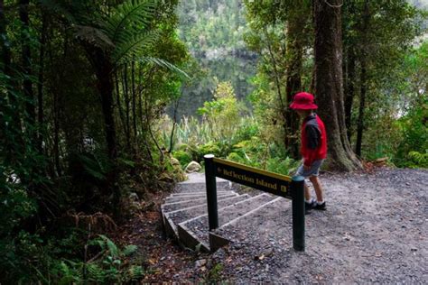 The Magic of the Reflection: Lake Matheson Walk, West Coast, NZ