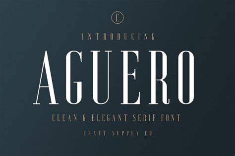 Best serif fonts for logos - plmpet