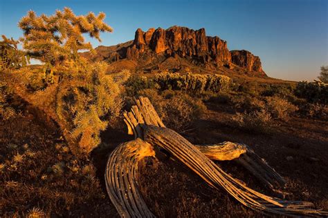 Your Guide to the Lost Dutchman Mine in Arizona - When in Your State