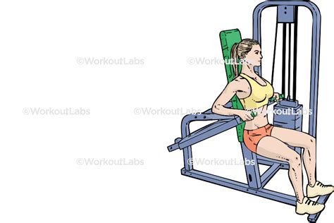 Assisted / Machine Seated Tricep Dips – WorkoutLabs Exercise Guide