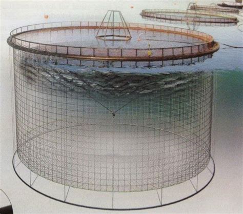 Fish Farm Nets | Fish farming, Farm, Circular