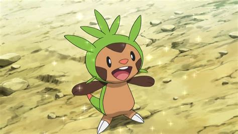 Chespin (Anime) - Pokemon X and Y by Rubychu96 on DeviantArt