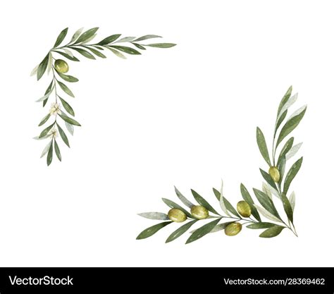 Watercolor wreath olive branches Royalty Free Vector Image