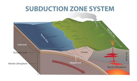 Premium Vector | Illustration of subduction zone diagram