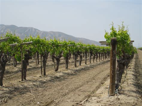 Agriculture in California’s San Joaquin Valley – Maven's Photoblog