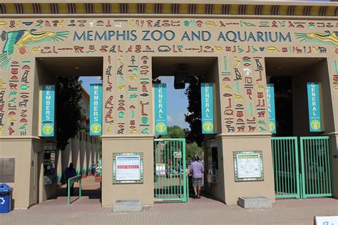 Memphis Zoo, TN | Memphis zoo, Zoo, Favorite places