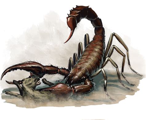 Giant scorpion | Fantasy monster, Fantasy beasts, Fantasy creatures