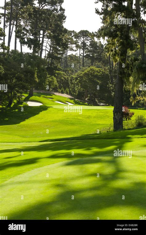 The green golf course Stock Photo - Alamy