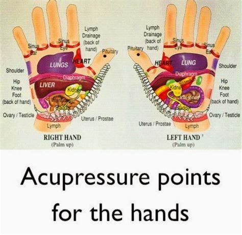 Yoga Palm Beach : Acupressure points