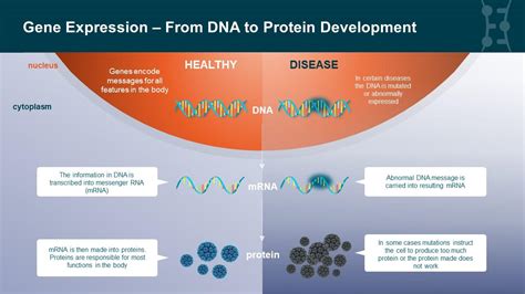 Silence Therapeutics - Patients - Gene Silencing Explained - Gene silencing: the basics