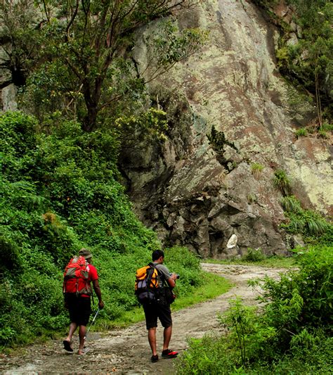 Walk from Horton Plains to Ella with a villager | Trek to Ella | Horton Plains Trekking