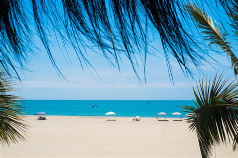 Playas de Piura: descubre los balnearios más bellos de este destino ...