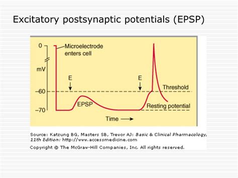 PPT - Introduction to CNS pharmacology PowerPoint Presentation, free ...