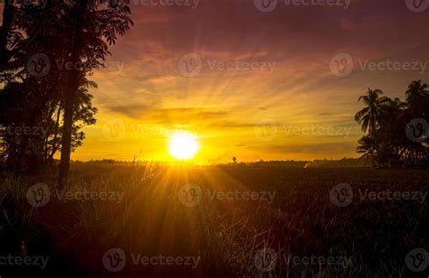 Golden sunset sky with sunrays 6174924 Stock Photo at Vecteezy