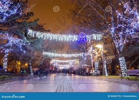 Christmas lights in park editorial photo. Image of outdoor - 36565776