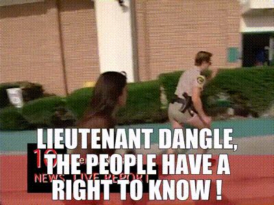 YARN | Lieutenant dangle, the people have a right to know ! | Reno 911! (2003) - S02E15 ...