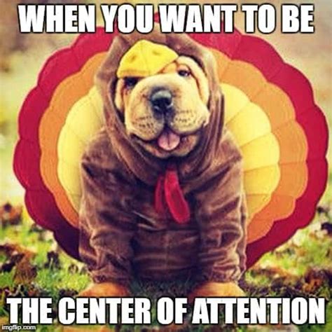 50+ Funny Happy Thanksgiving Memes 2023, Turkey Memes