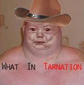 What in tarnation Blank Template - Imgflip