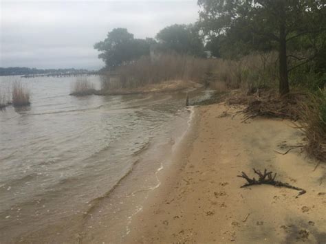 Magothy River Shoreline Restoration, Annapolis, Maryland – Atlantic ...