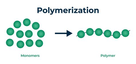 Polymerization - Definition, Types, Mechanism, & Examples